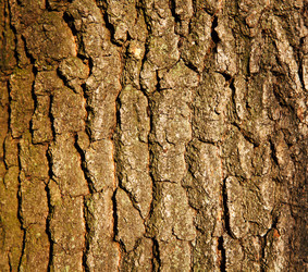 Similar image 8228555