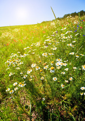 Similar image 8228562