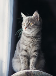 Similar image 8228568