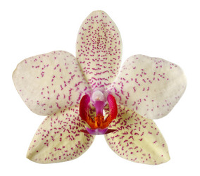 Similar image 8228572