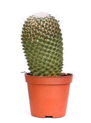 Similar image 8228580