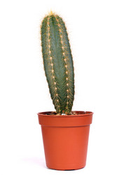 Similar image 8228581