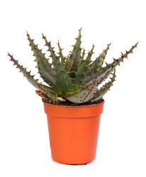 Similar image 8228582