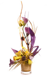 Similar image 8228585