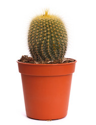 Similar image 8228586