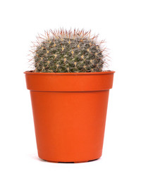 Similar image 8228587