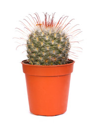 Similar image 8228588