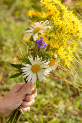 Similar image 8228620