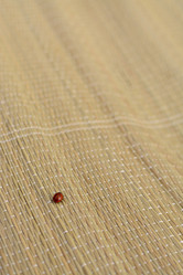 Similar image 8228621