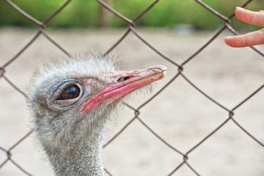 Similar image 8228838