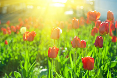 Similar image 8228841