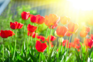 Similar image 8228857