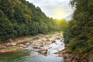 Similar image 8228873