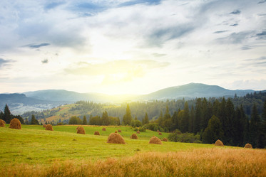 Similar image 8228874