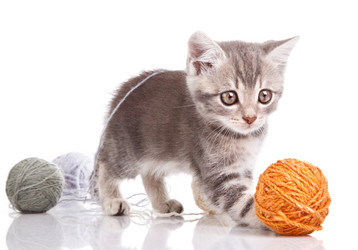 Similar image 8228877