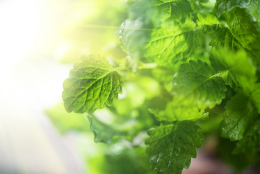 Similar image 8228970