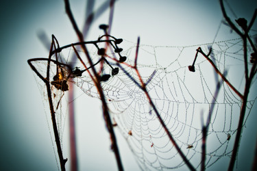 Similar image 8228991