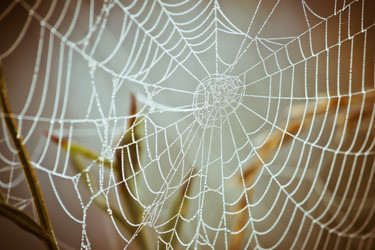 Similar image 8228992