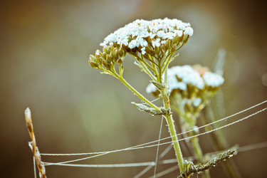 Similar image 8228993