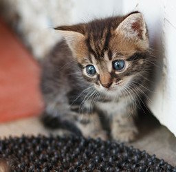 Similar image 8228996