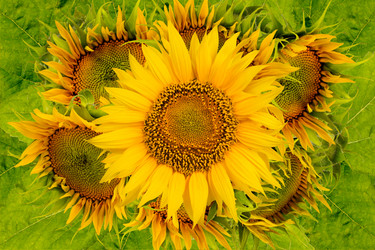 Similar image 8229040