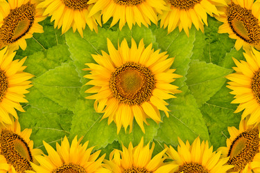 Similar image 8229042