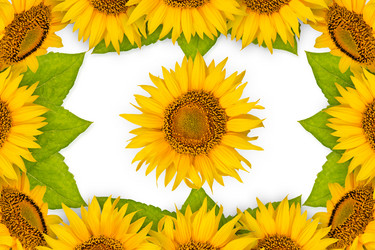 Similar image 8229043