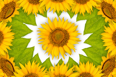 Similar image 8229044