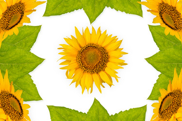 Similar image 8229045