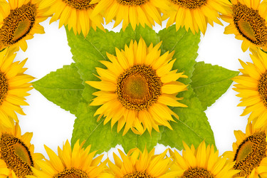 Similar image 8229046