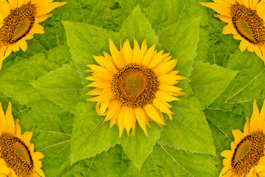 Similar image 8229047