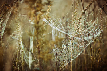 Similar image 8229049