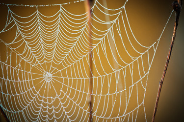 Similar image 8229051