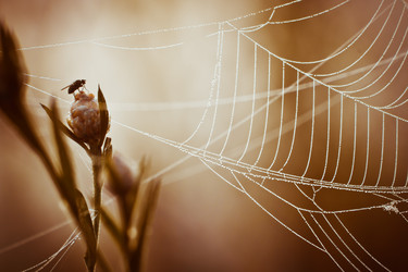 Similar image 8229052