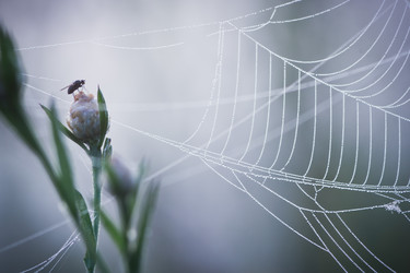 Similar image 8229054