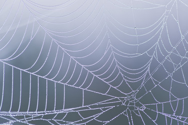 Similar image 8229055