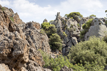 Similar image 8229087