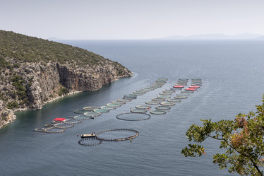 Similar image 8229091