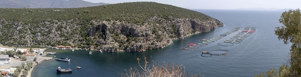 Similar image 8229092