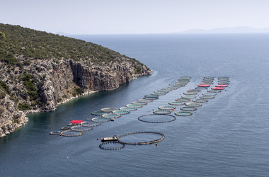 Similar image 8229095