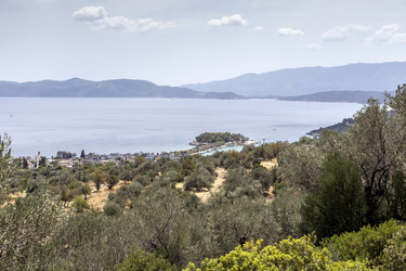 Similar image 8229098