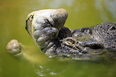 Similar image 8229104