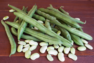 Similar image 8229176