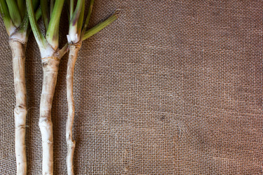 Similar image 8229179