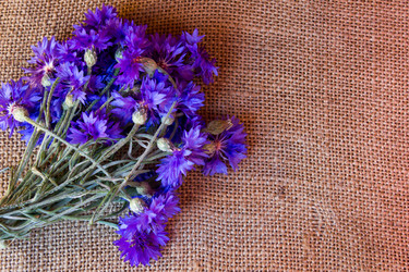 Similar image 8229181