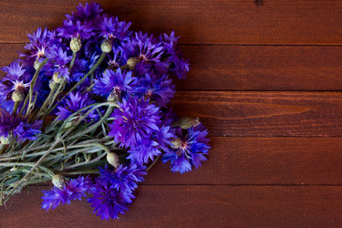 Similar image 8229182