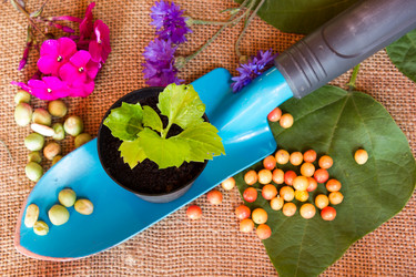 Similar image 8229183