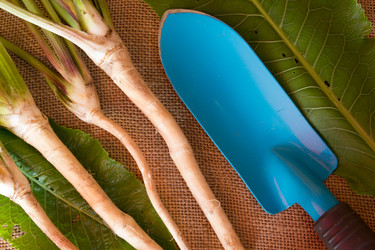 Similar image 8229184