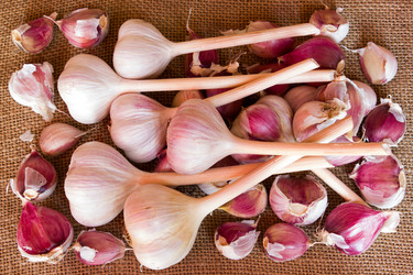 Similar image 8229185