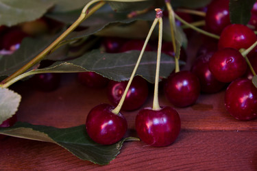 Similar image 8229191